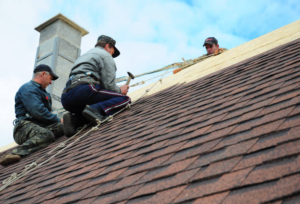 Best Residential Roofing Contractor  in North Auburn, CA